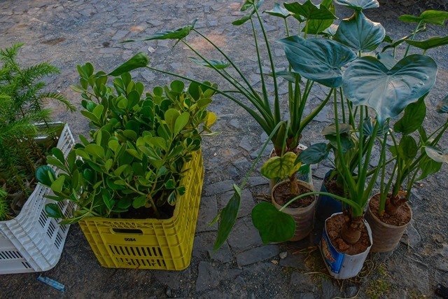 1 encontro caminhos do serto - prefeitura-5